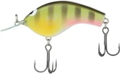 Shimano Macbeth Flat 57F Flat Sided Crankbait 14 Shimano Macbeth Flat 57F Flat Sided Crankbait -Shimano Fishing Store 40094945771609