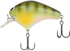 Shimano Macbeth Original 63F Hybrid Edge Square Bill Crankbait 14 Shimano Macbeth Original 63F Hybrid Edge Square Bill Crankbait -Shimano Fishing Store 40094949048409