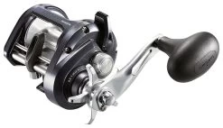Shimano Tekota A 500/600 Conventional Reels -Shimano Fishing Store TEKOTA 601HG