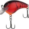 Shimano Macbeth Tiny 39F Crankbait 1 Shimano Macbeth Tiny 39F Crankbait -Shimano Fishing Store shimano macbeth tiny 39f crankbait 89004.1651445673