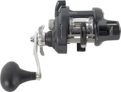 Shimano Tekota Levelwind Conventional Reels -Shimano Fishing Store shimano tekota levelwind reels 32731.1651006806