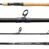 Shimano 2022 Teramar Southeast Casting Rods 1 Shimano 2022 Teramar Southeast Casting Rods -Shimano Fishing Store shimano teramar southeast casting rods 71960.1665206630