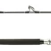 Shimano Terez BW BFC Conventional Rods