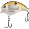 Shimano World Rush Square Bill Crankbait -Shimano Fishing Store shimano world rush square bill crankbait 05009.1678982279