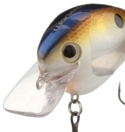 Shimano World Rush Square Bill Crankbait -Shimano Fishing Store shimano world rush square bill crankbait 27138.1678982280